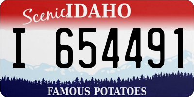 ID license plate I654491