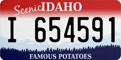 ID license plate I654591