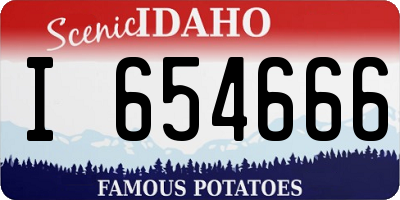 ID license plate I654666