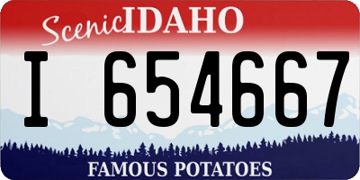 ID license plate I654667