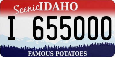 ID license plate I655000