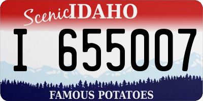 ID license plate I655007