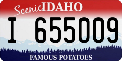 ID license plate I655009
