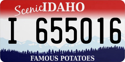ID license plate I655016