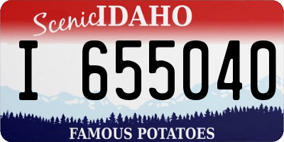 ID license plate I655040