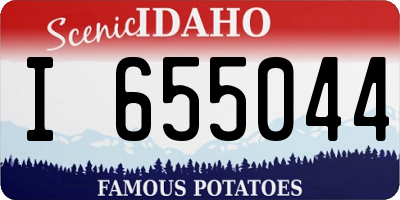 ID license plate I655044