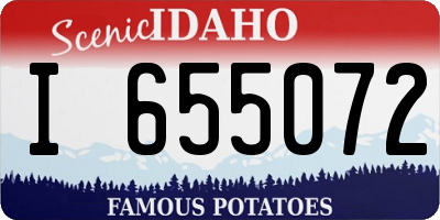 ID license plate I655072