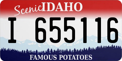 ID license plate I655116