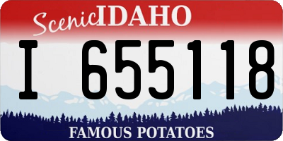 ID license plate I655118