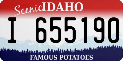 ID license plate I655190