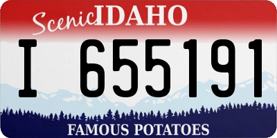 ID license plate I655191