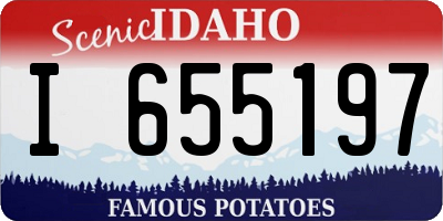 ID license plate I655197