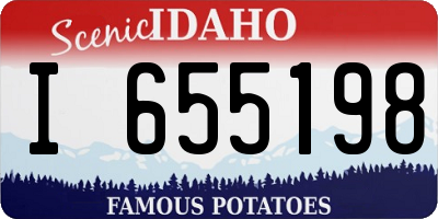 ID license plate I655198