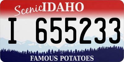 ID license plate I655233