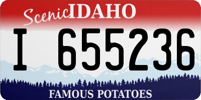 ID license plate I655236