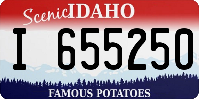 ID license plate I655250