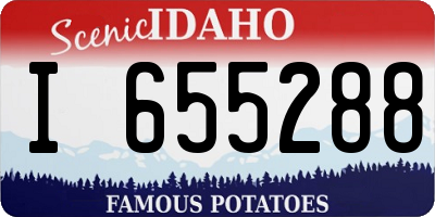 ID license plate I655288
