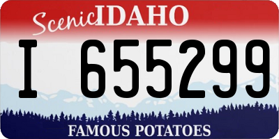 ID license plate I655299