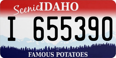 ID license plate I655390