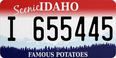 ID license plate I655445