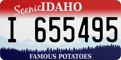 ID license plate I655495
