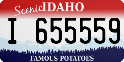 ID license plate I655559