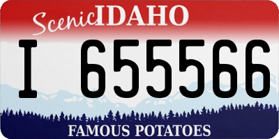 ID license plate I655566
