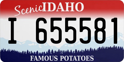 ID license plate I655581