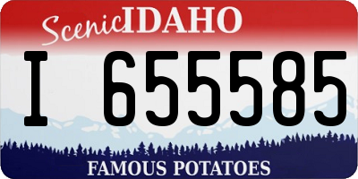 ID license plate I655585