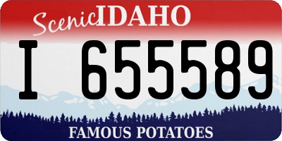 ID license plate I655589