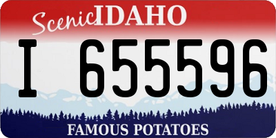 ID license plate I655596