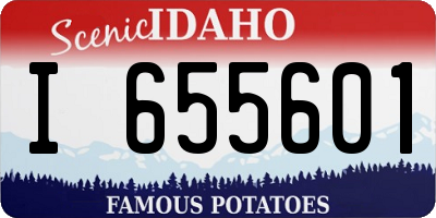 ID license plate I655601