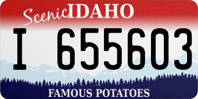 ID license plate I655603