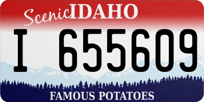 ID license plate I655609