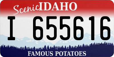 ID license plate I655616