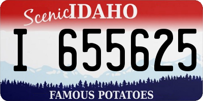 ID license plate I655625