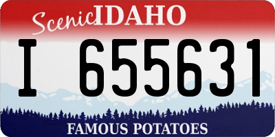 ID license plate I655631
