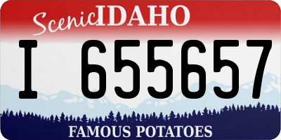 ID license plate I655657