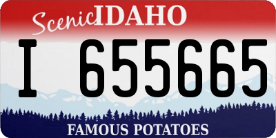 ID license plate I655665
