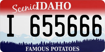 ID license plate I655666