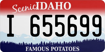 ID license plate I655699