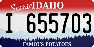ID license plate I655703