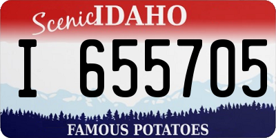 ID license plate I655705
