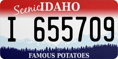ID license plate I655709