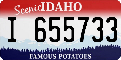 ID license plate I655733
