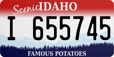 ID license plate I655745