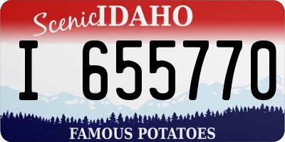 ID license plate I655770