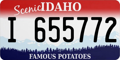 ID license plate I655772