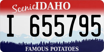 ID license plate I655795