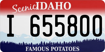 ID license plate I655800